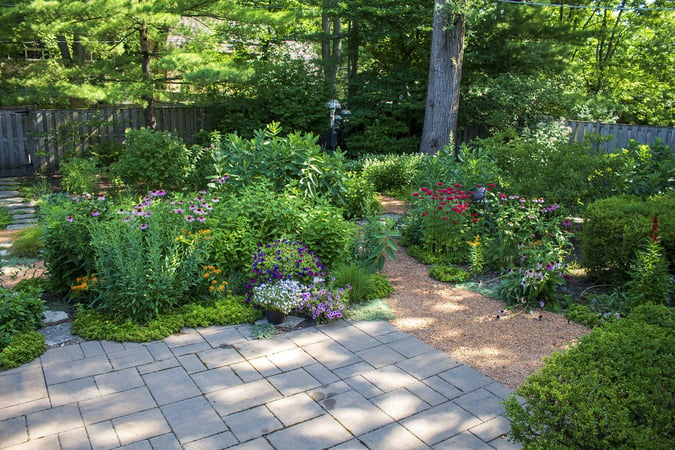 Bird garden in backyard with patio