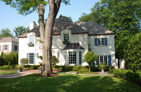 large tree in front yard with green grass