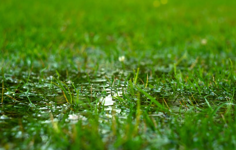 AdobeStock_415528138