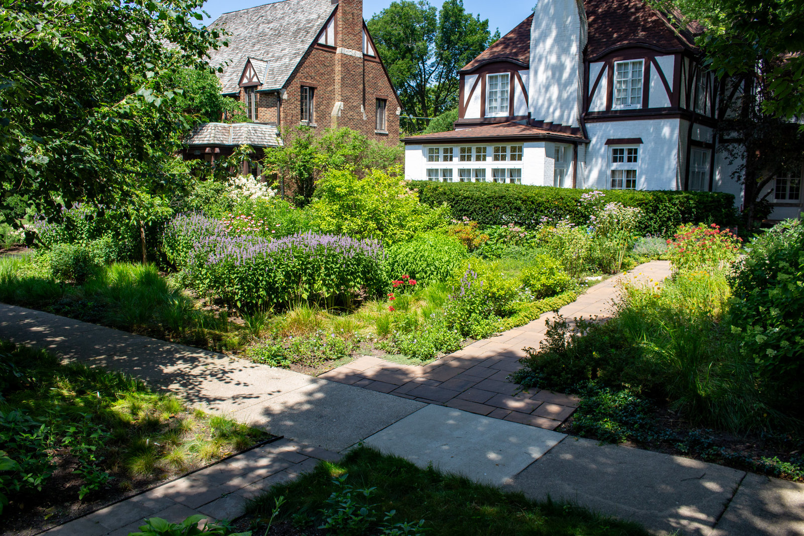 Itani Award Photos Native Landscaping (48)