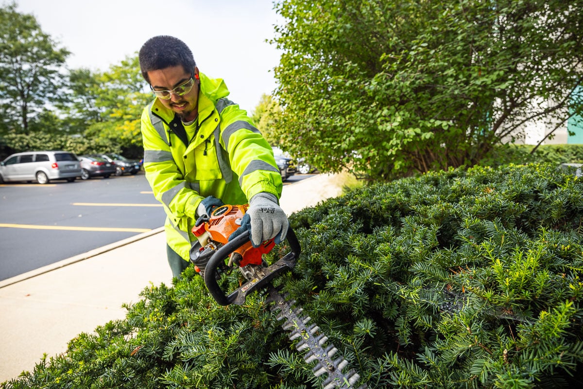 commercial landscape maintenance crew hedge trimming 1