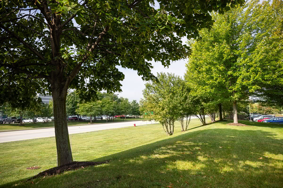 commercial landscape maintenance office complex 15-1
