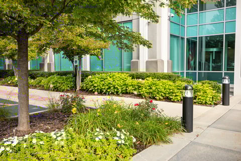 commercial landscape maintenance office complex flower beds