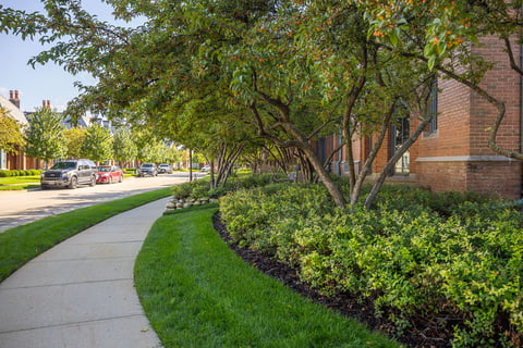 commercial landscape maintenance retirement 2-1
