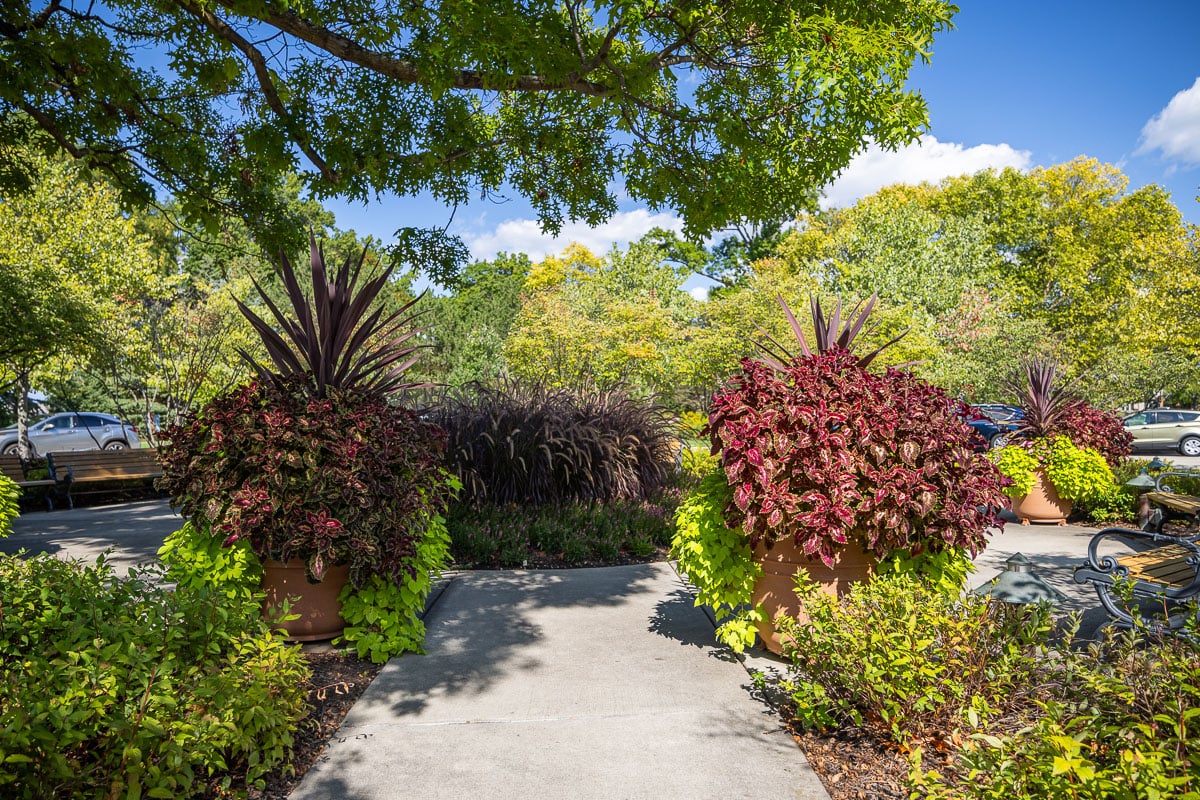 commercial landscape maintenance retirement container plants