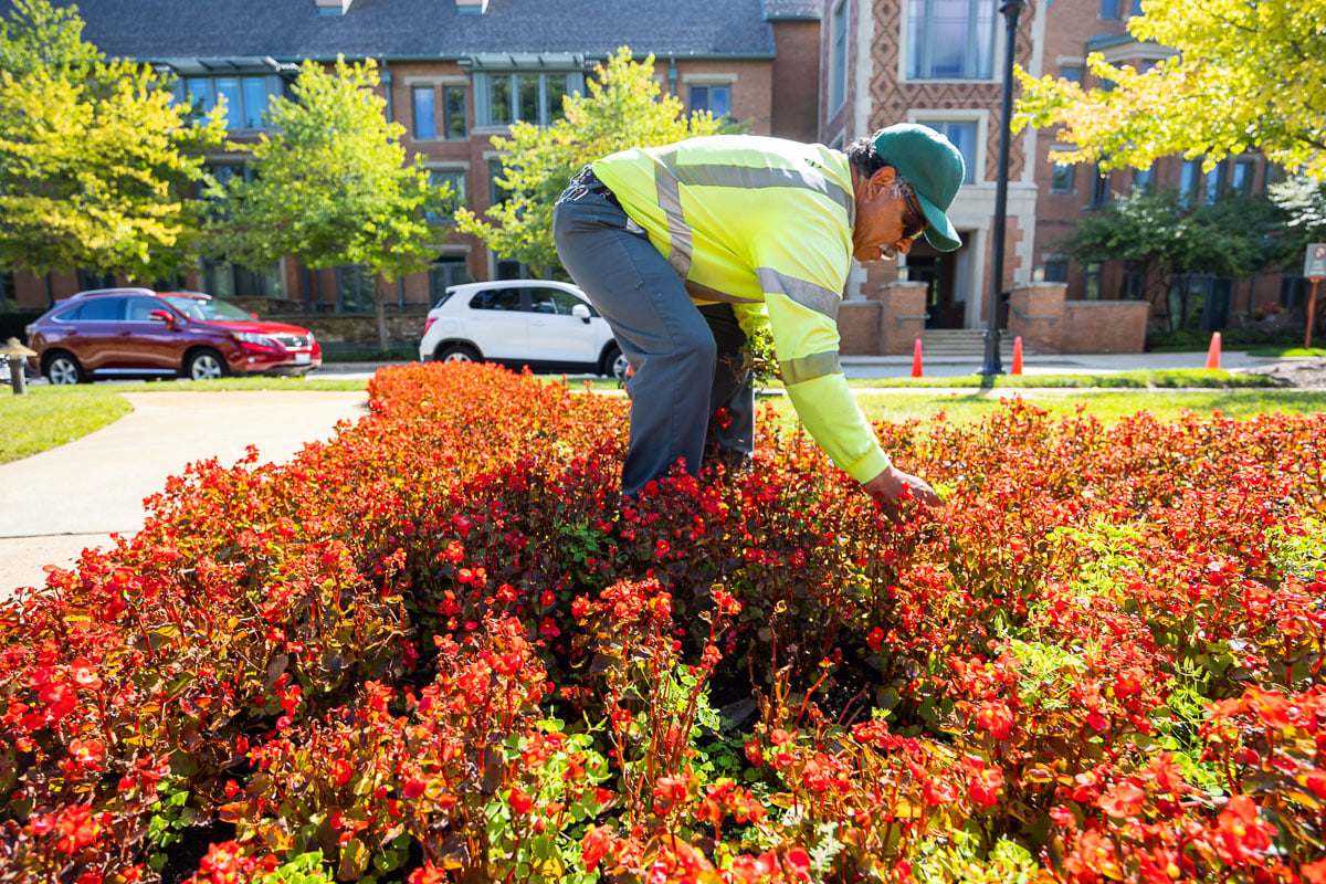 commercial landscape maintenance crew weeding in flower beds