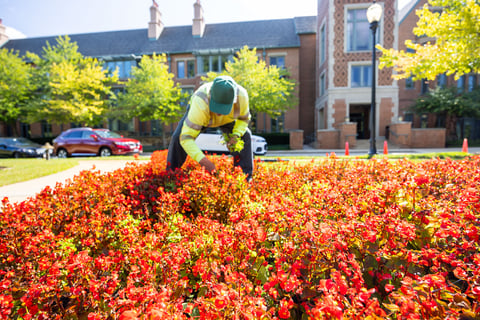 commercial landscape maintenance retirement crew weeding