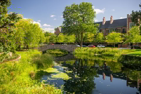 commercial landscape maintenance retirement pond and bridge view