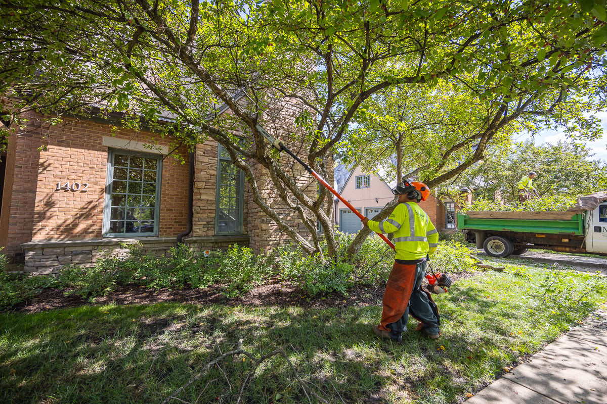commercial landscape maintenance retirement tree pruning crew 4