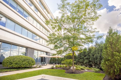Landscape Design Services at James Martin Associates
