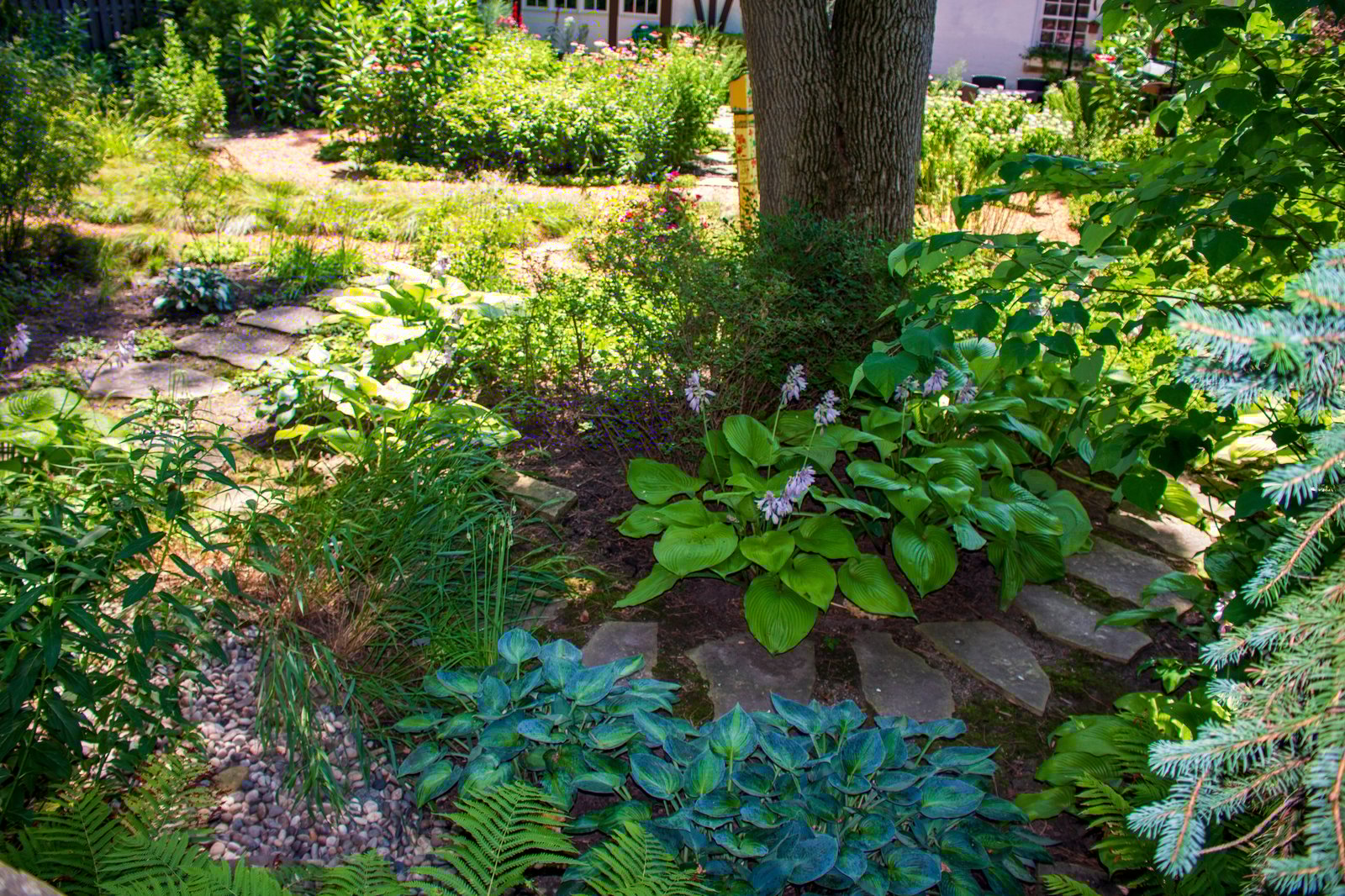 Itani Award Photos Native Landscaping (3)