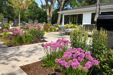 Residential backyard with stone patio pathway with tall flowers