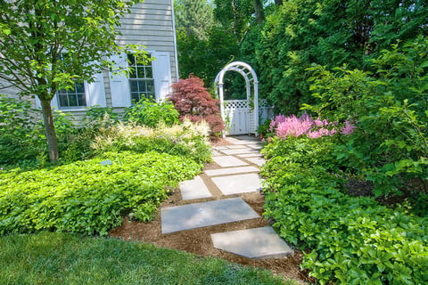 Residential front yard with stepper paths leading to a arched backyard gate with surrounding flower bushes