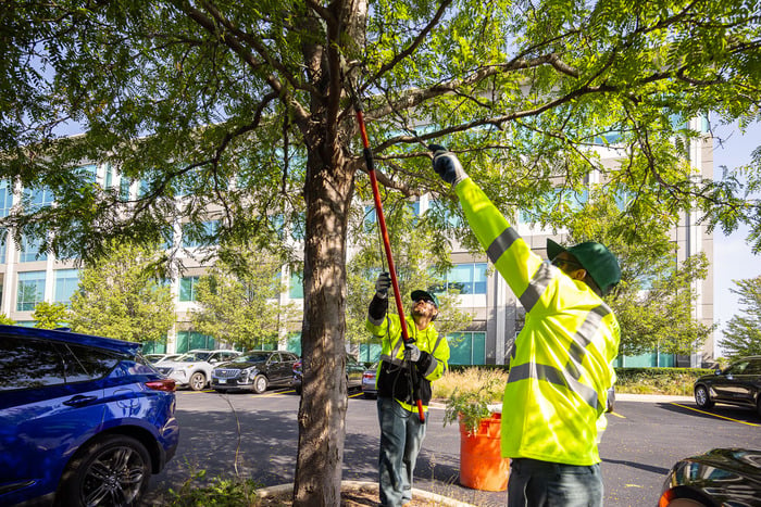 crew trimming back trees for commercial maintenance 