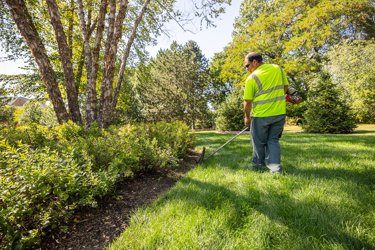Big Picture Under Full-Service Commercial Landscape...
