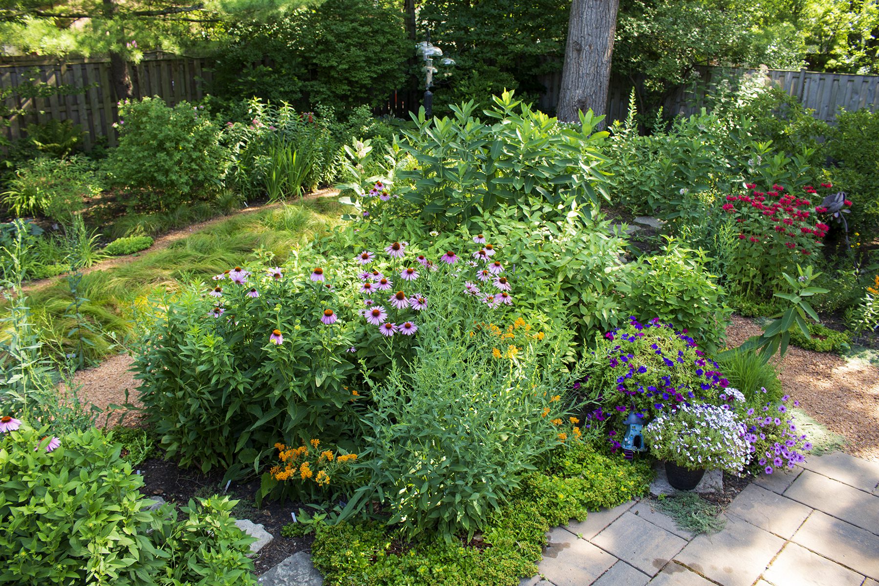 bird garden in backyard with blooming flowers