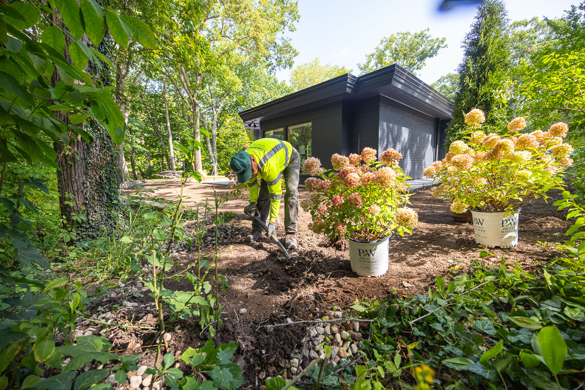 Residential landscape crew planting shrubs 1