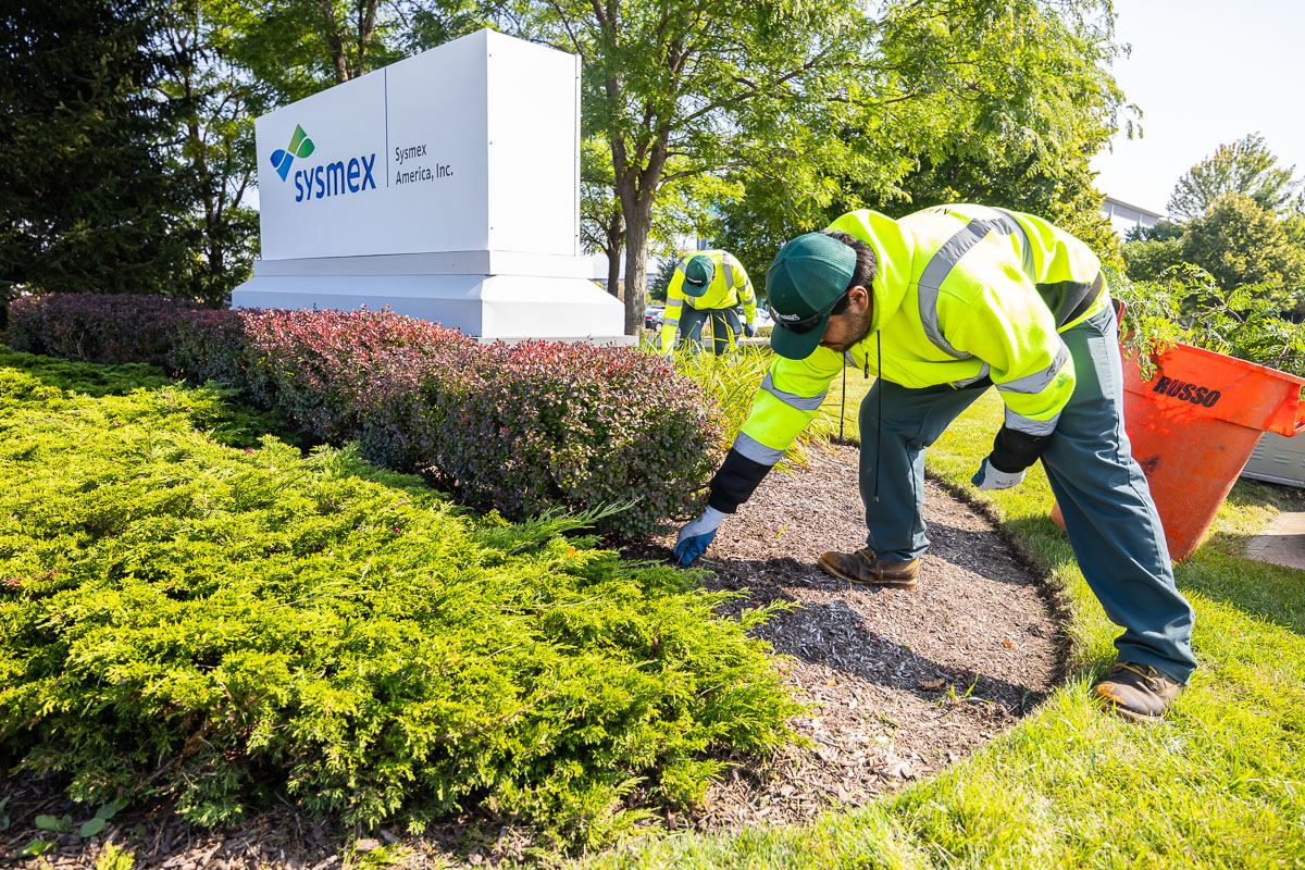 crew pulling weeds in flower beds on commercial property