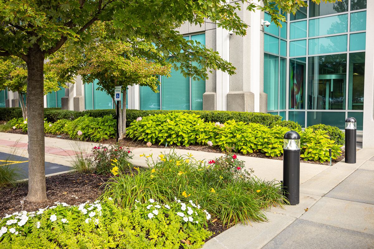 commercial plants at front business entrance 