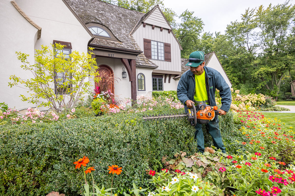 residential maintenance crew trimming hedges