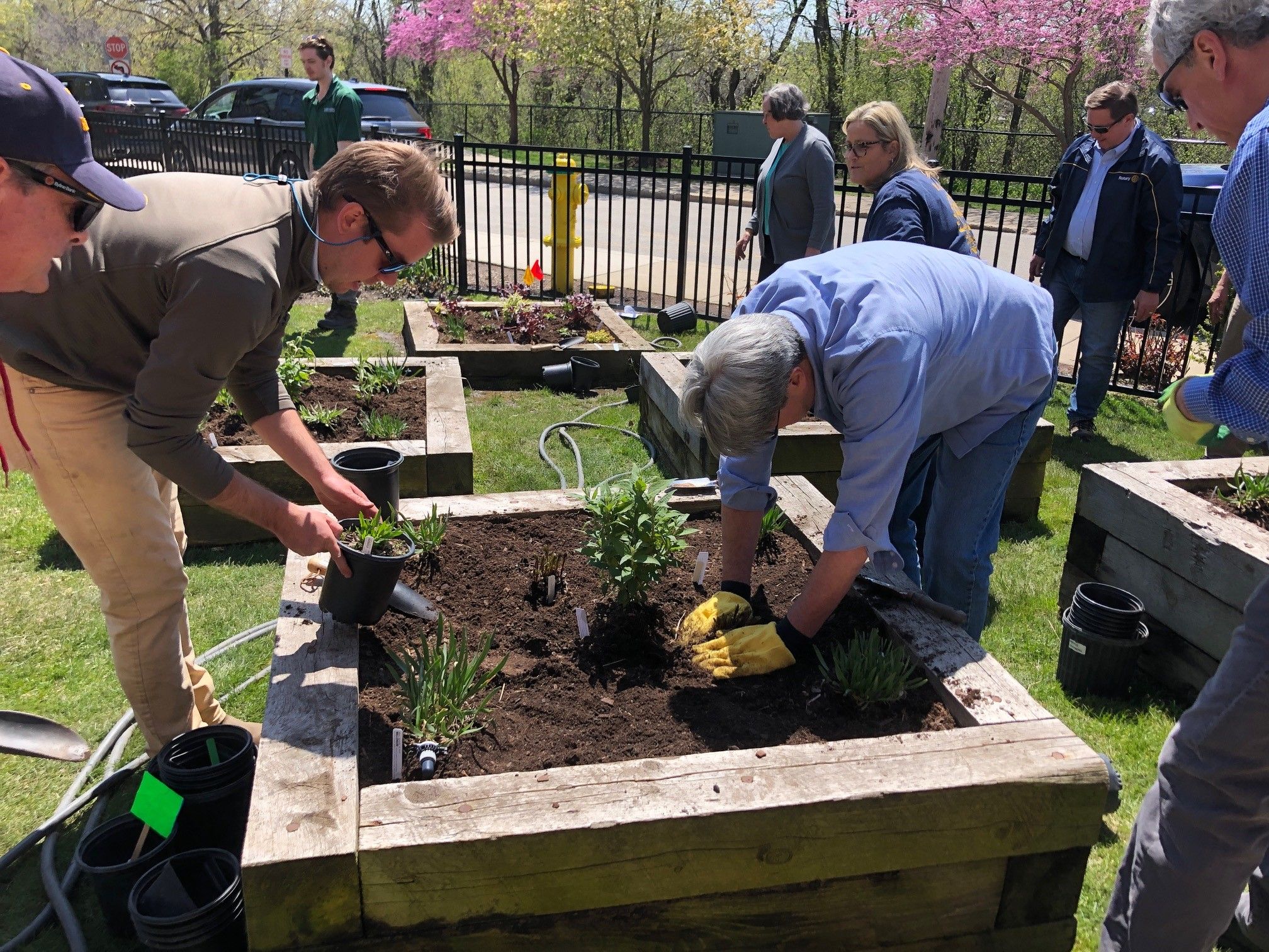 JMA team planting flower beds 