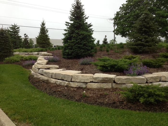 Landscape beds with fresh mulch and manicured plants