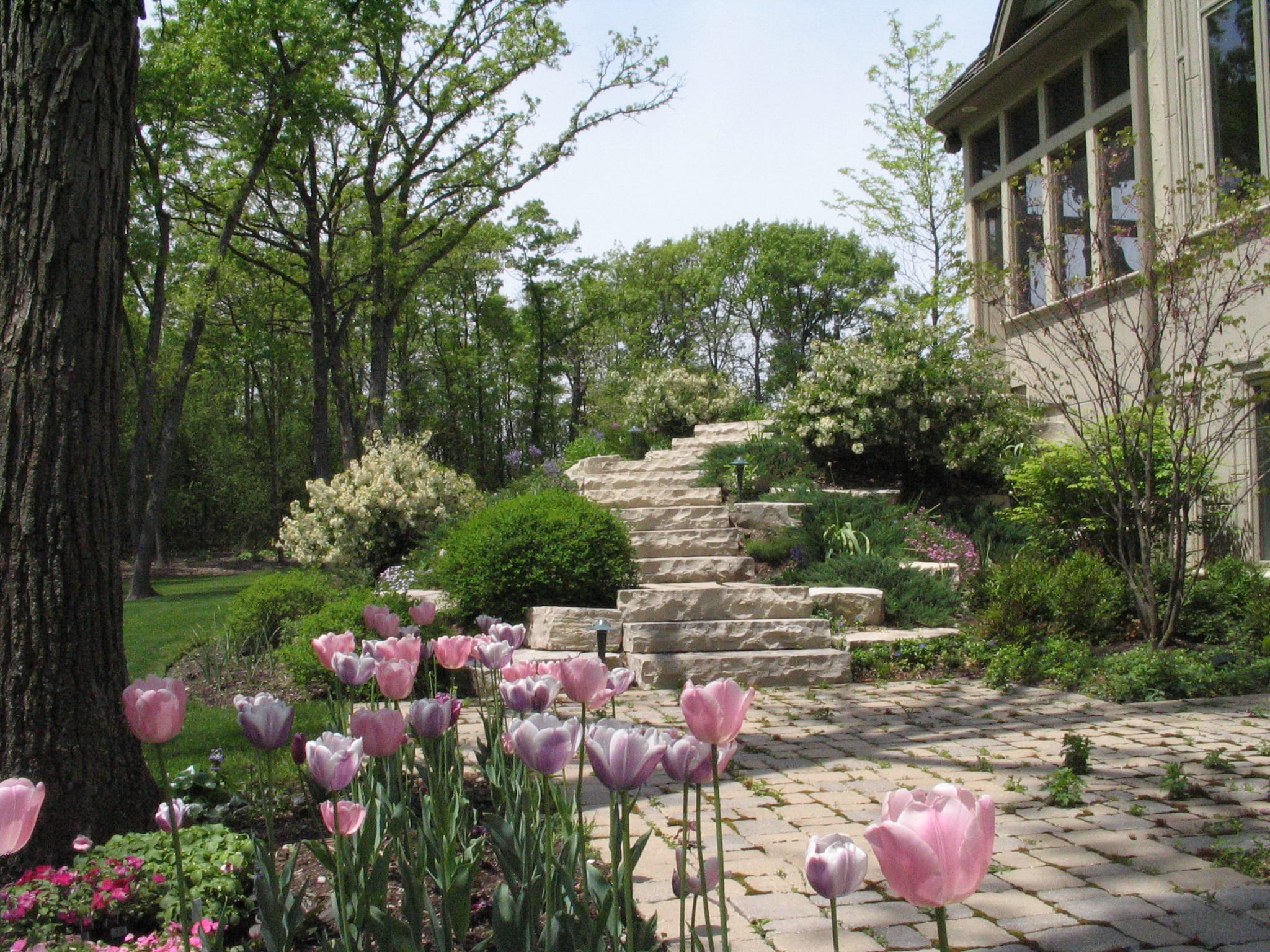 White stone steps leading to backyard patio 