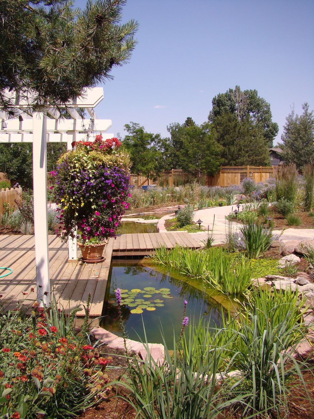 backyard pond with wood deck and pergola 