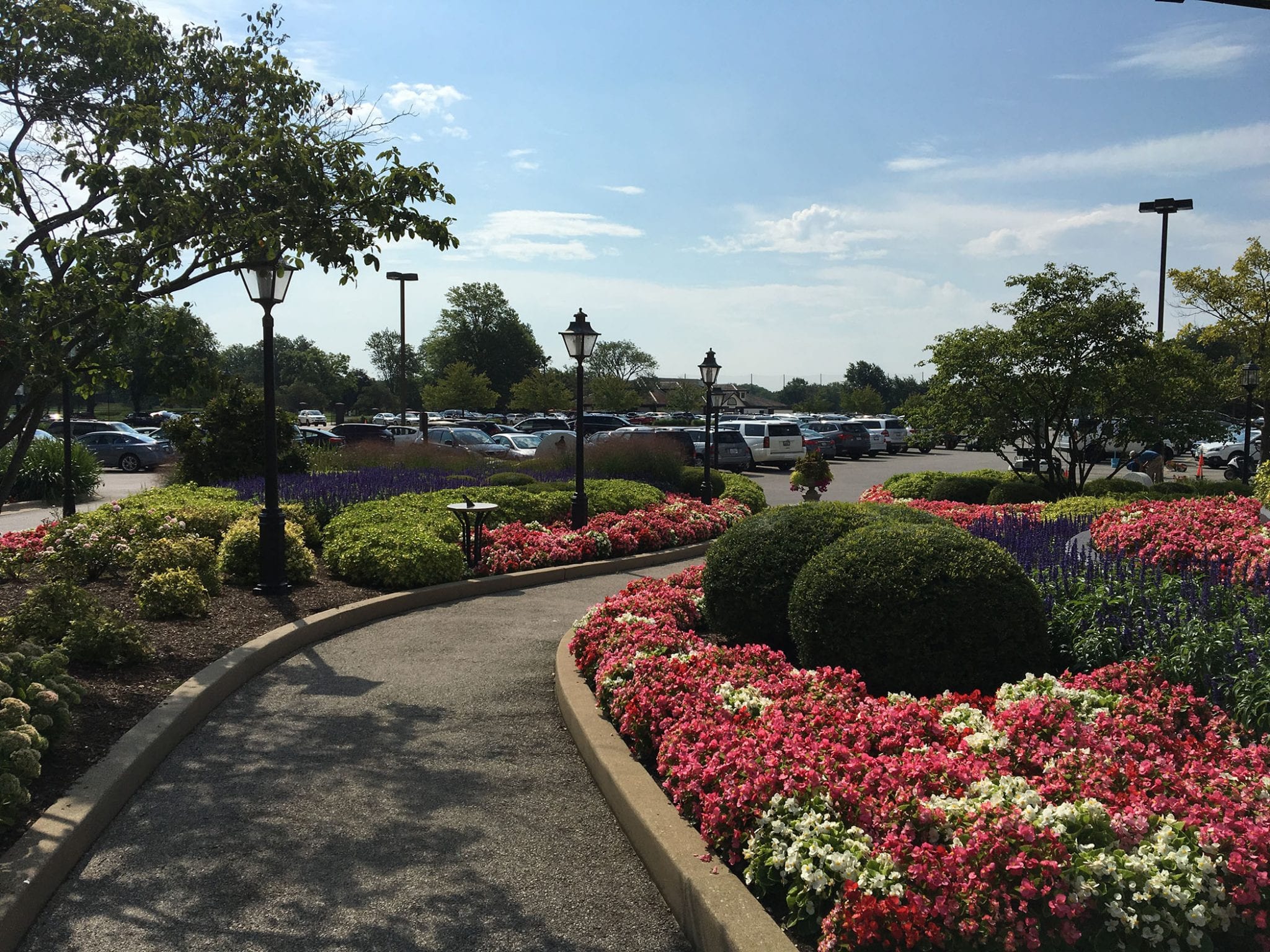 commercial Driveway-Island with flower beds