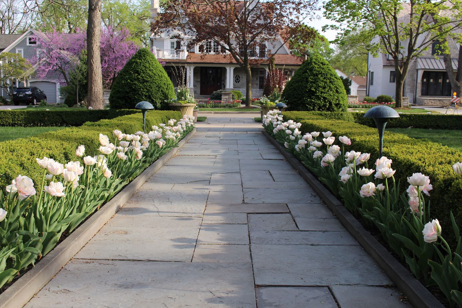 spring flowers leading up to the front of house